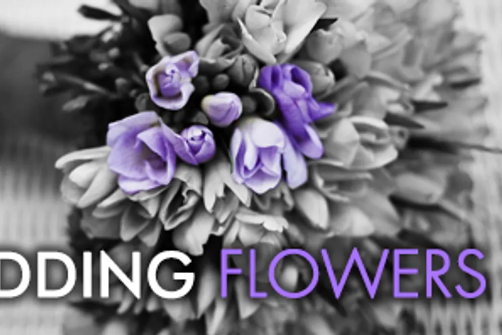 Vanda Flowers