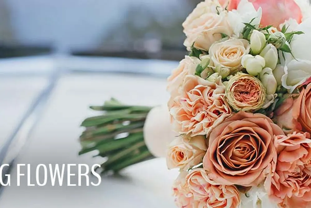 Sunflowers Florist Cam