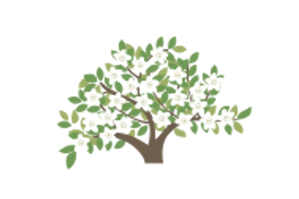 C Blake & Sons Ltd
