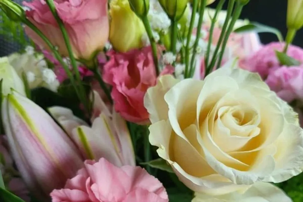 Nottingham city florist