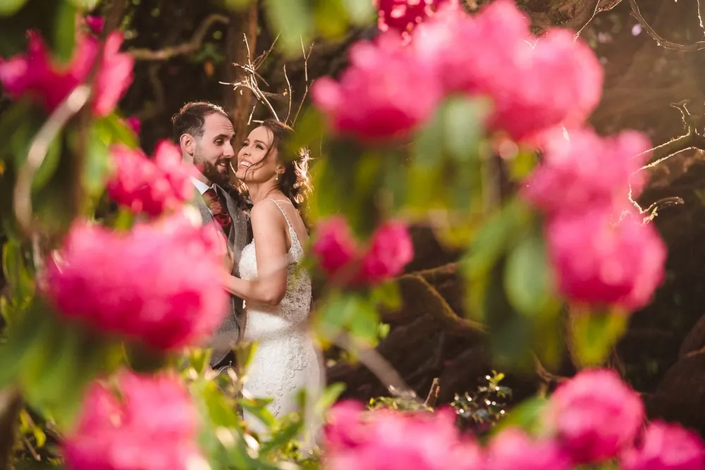 Andi Watson Photography & Video Services
