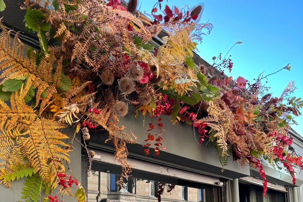 URBAN BOTANICAL