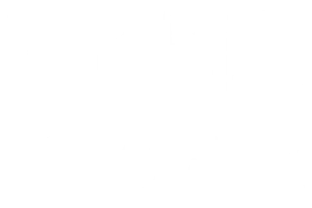 Verbena Flowers