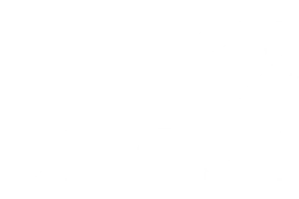 The Snashfolds