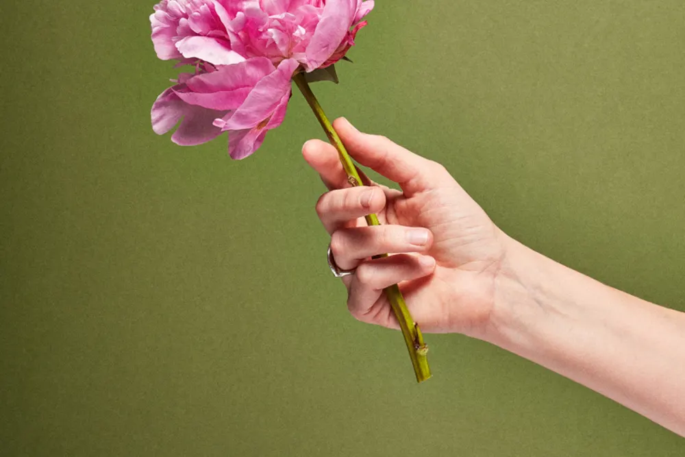 The Bloom Project