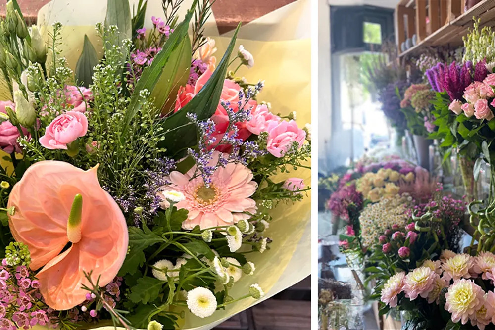 Blooms for you