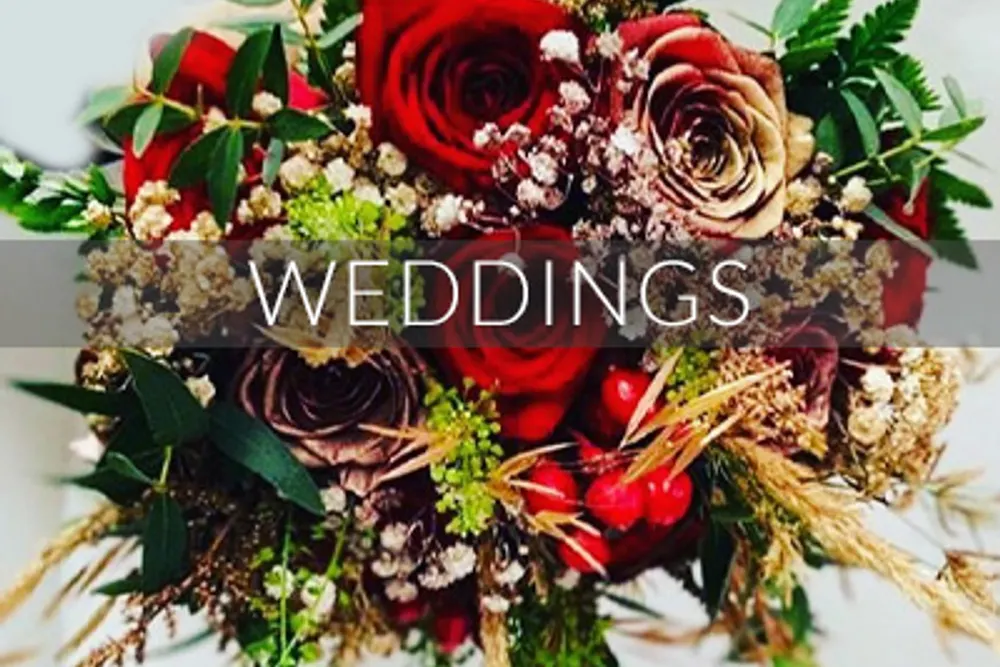 Tropicana Florists