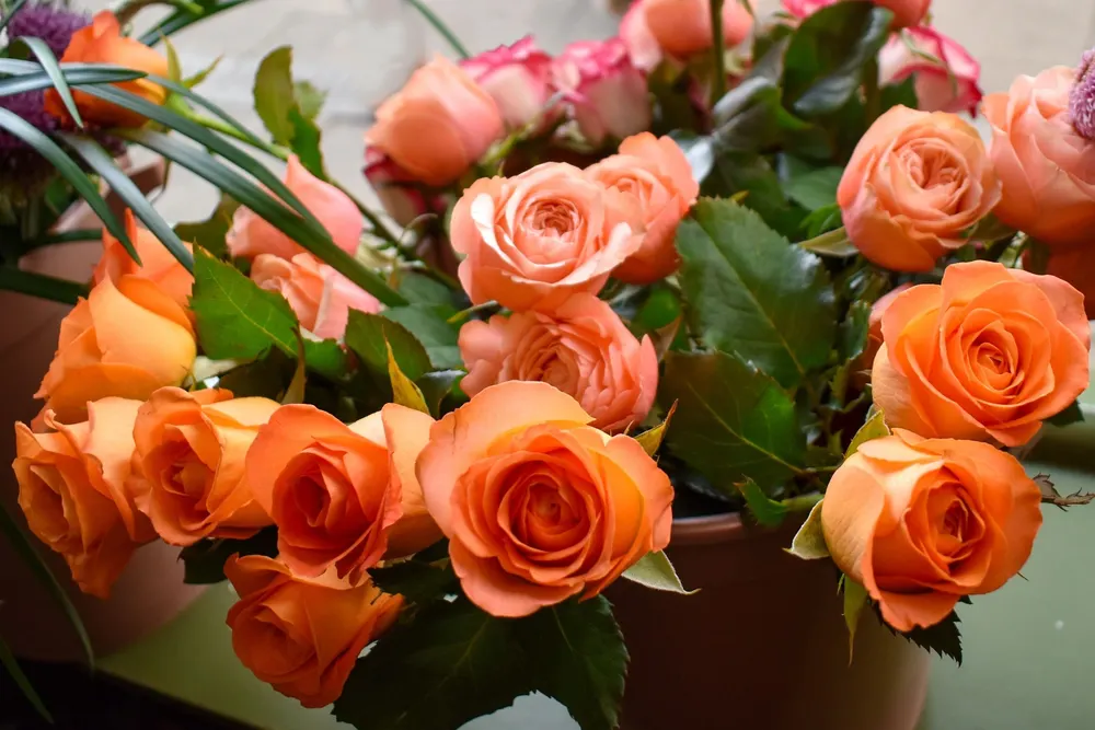 Holistic Floristry