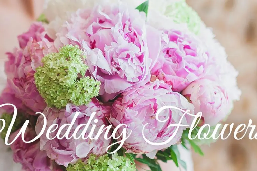 Barrie Hughes Florist