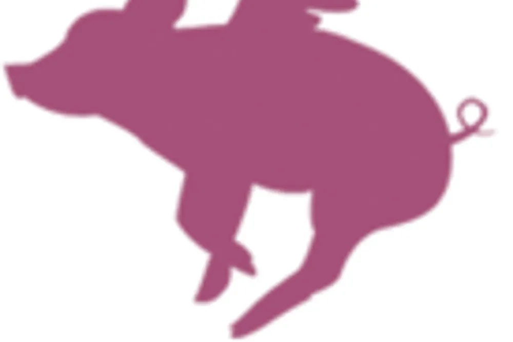 Flying Pig Catering