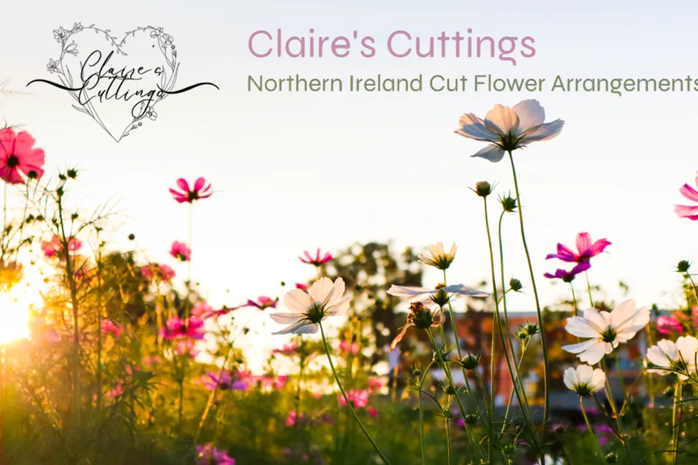 Claire's Cuttings