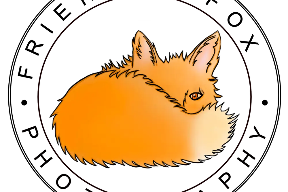 Friendly Fox Photography