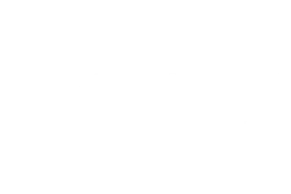 The Little Kitchen Company