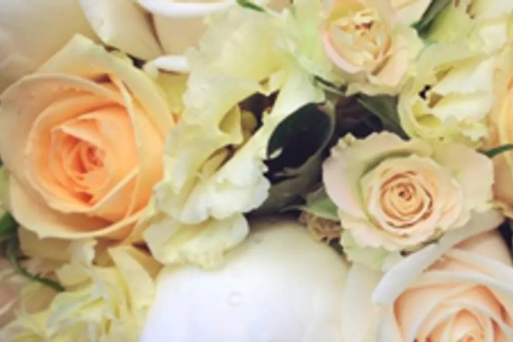 Florists Bassett - The Flower Shop in Southampton