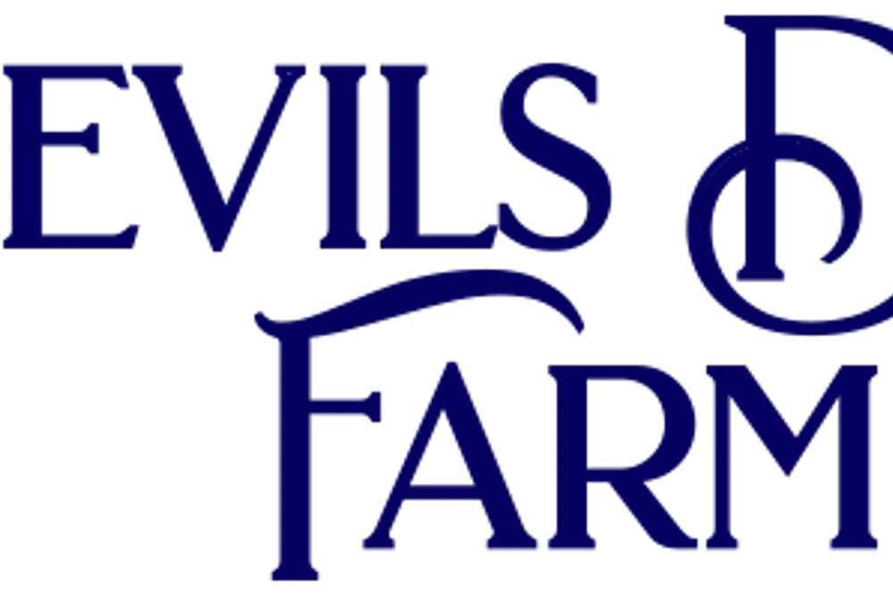 Devils Dyke Farm Weddings