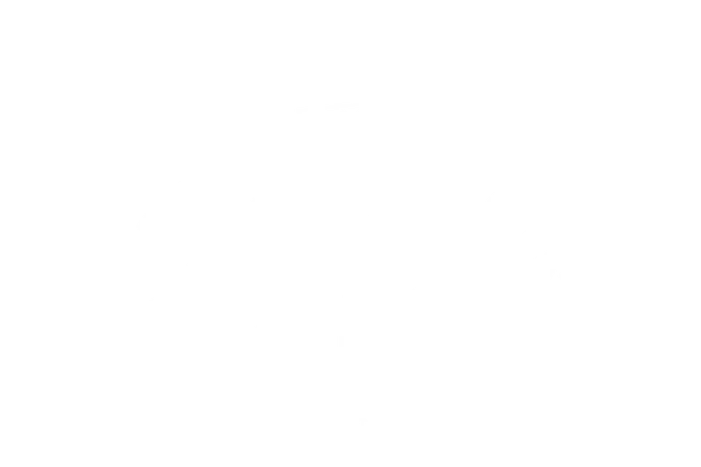 The Old Ship Hotel