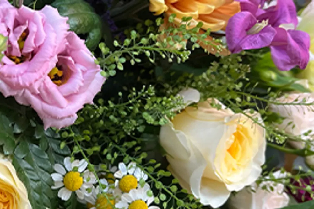 Blooms Of Exeter