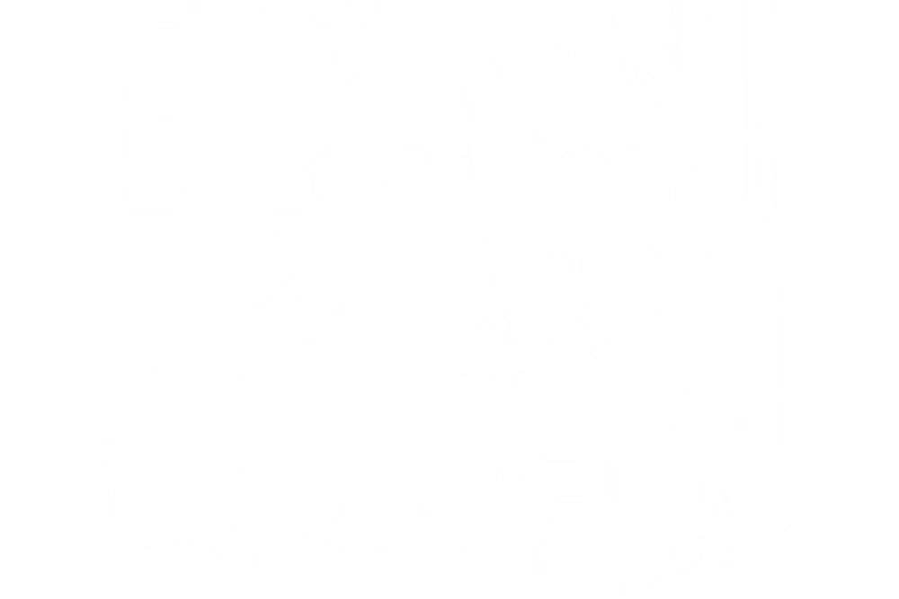 Embers