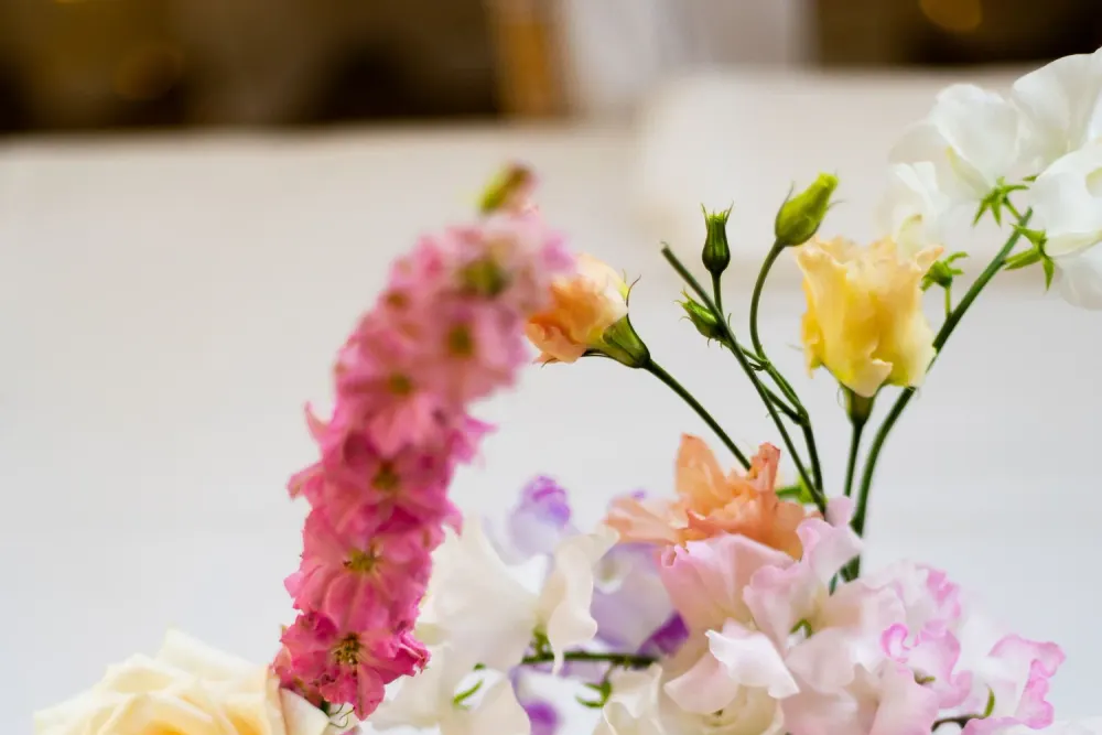 Blossom & Wild Florals