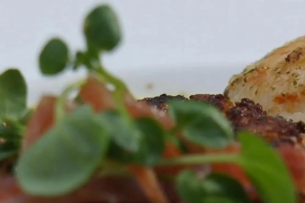 Tu Mangetout Catering