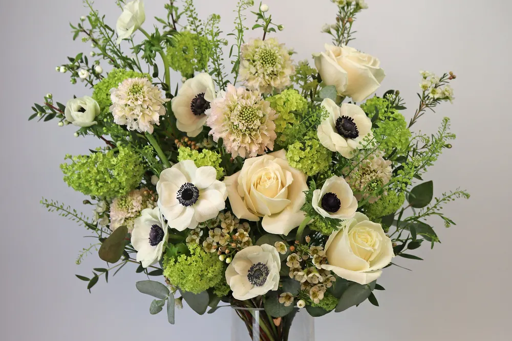 FROG FLOWERS