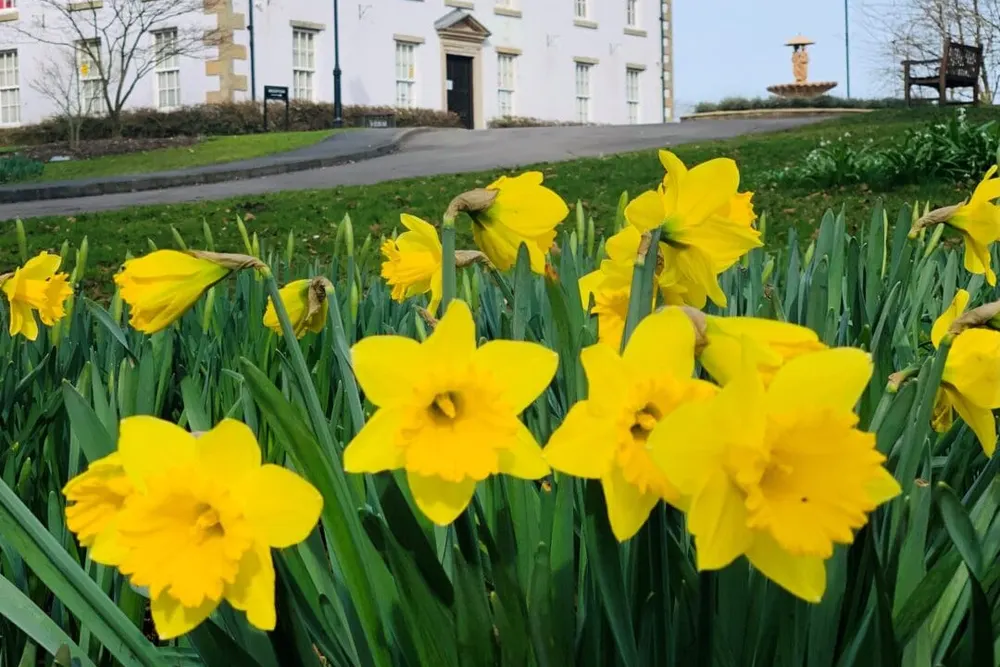 Shotton Hall