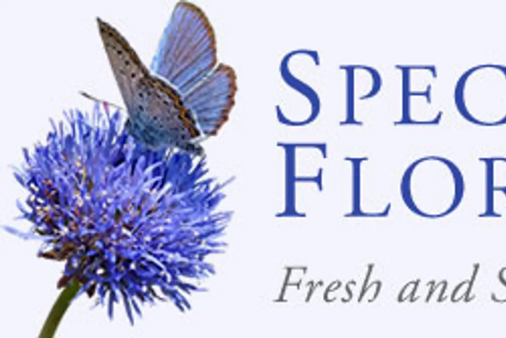 Special Occasions Florists