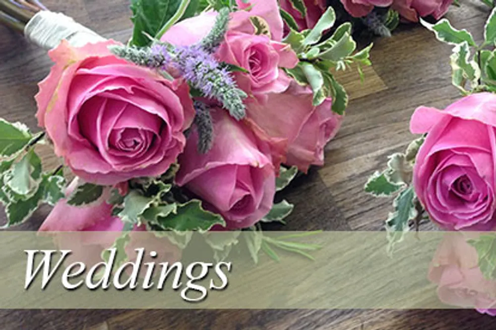 Vendela Rose Floral Design