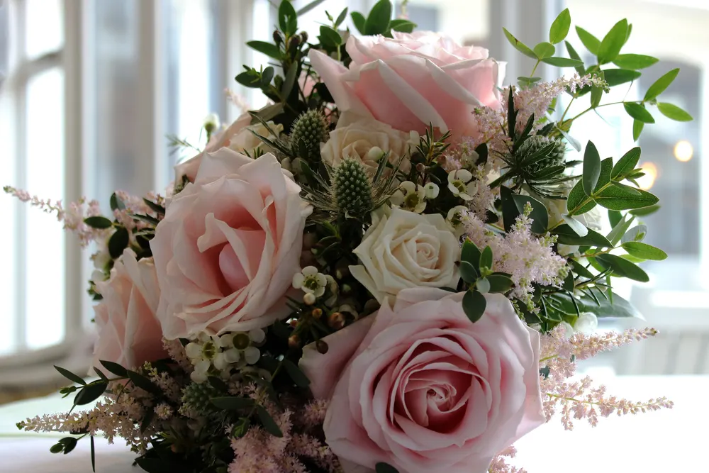 Dorset Flowers
