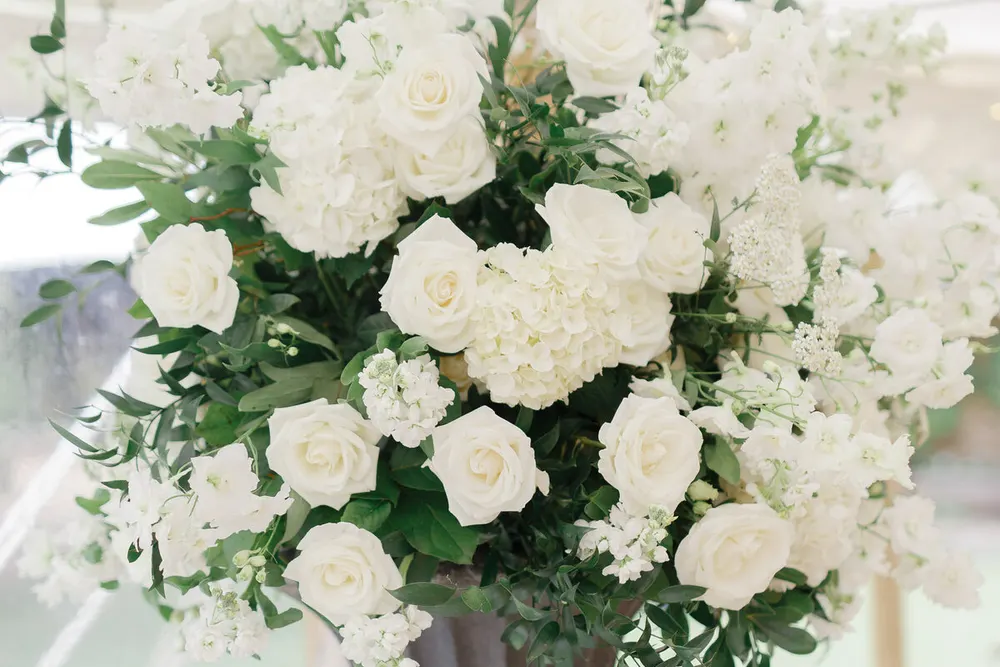 Stems Design