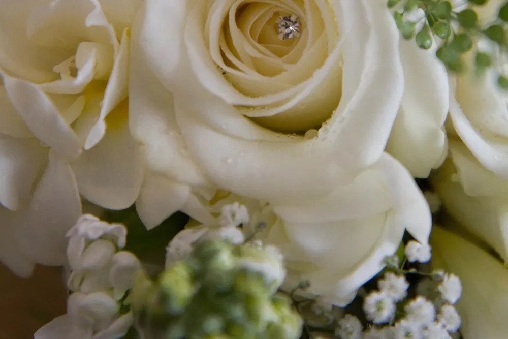 Bloom In Scents