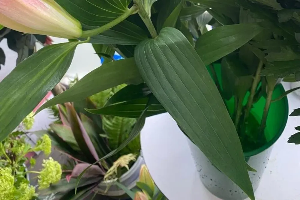 Blooming Marvellous Florists
