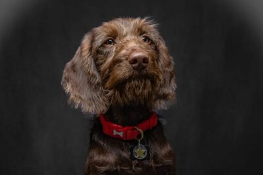 Studio 101 Photography