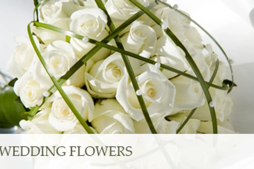 Blooming Temptations