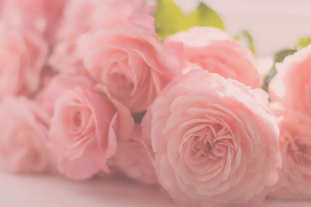 Shirley Snells Florist