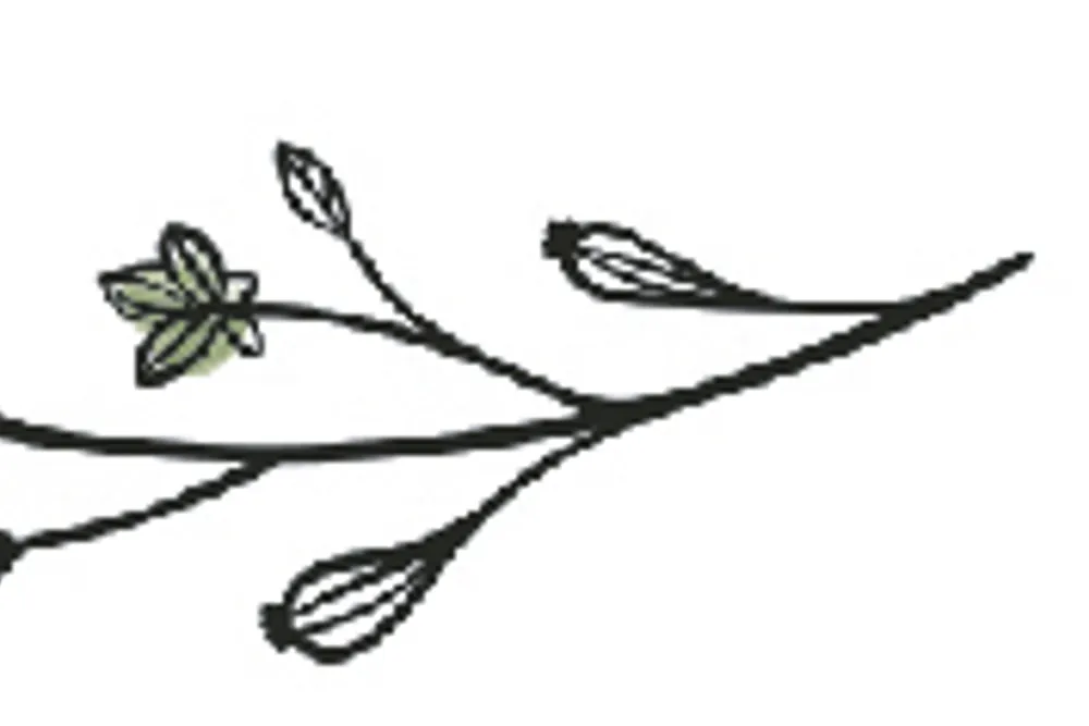 Joanna Rivers Flowers