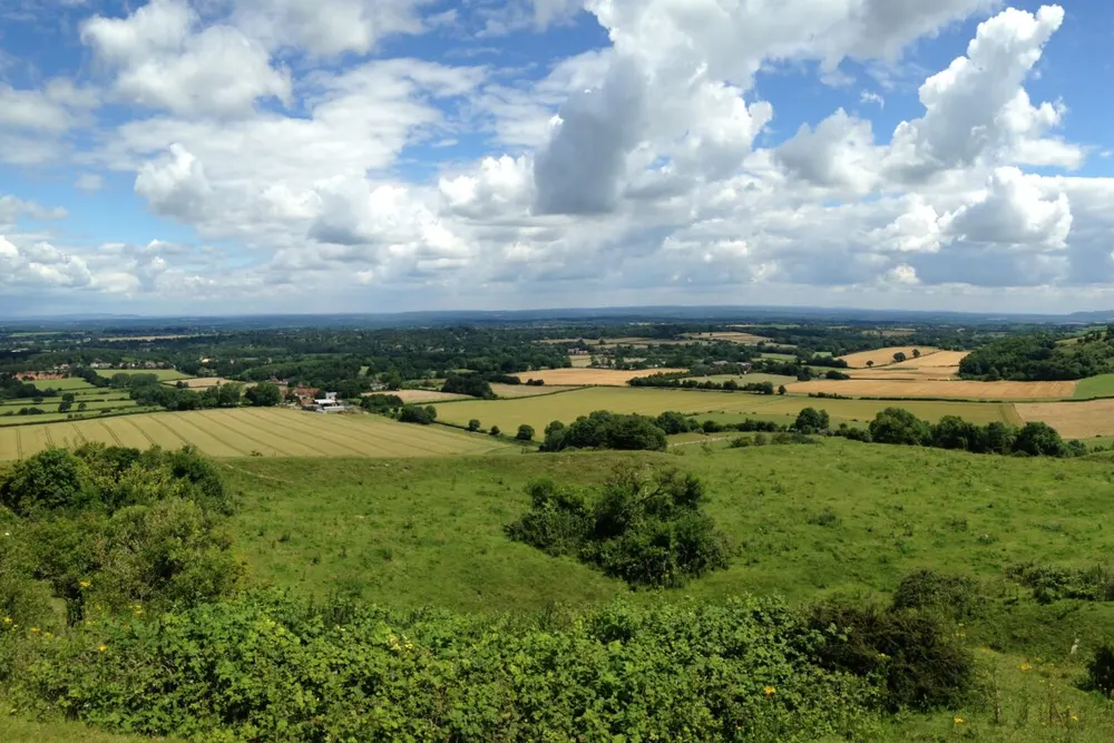 Sullington Manor Farm Ltd