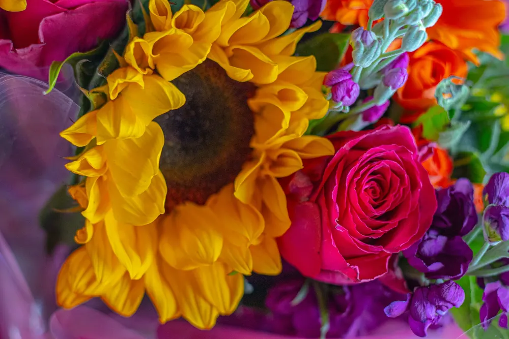 Petal Cascade Florist
