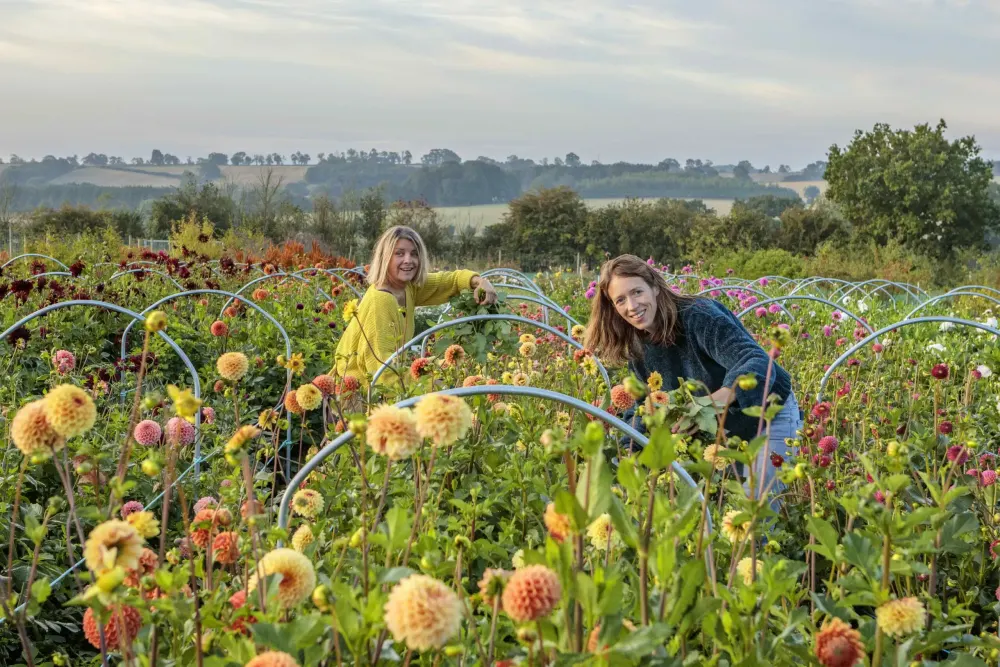 Flower and Farmer Ltd