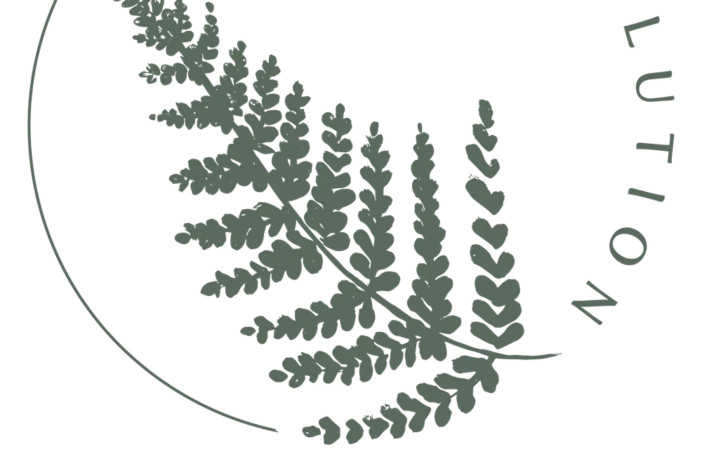 Flowers Evolution