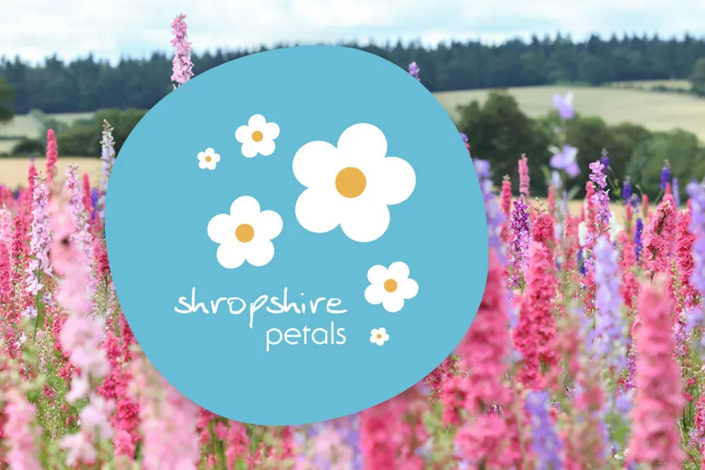 Shropshire Petals Confetti