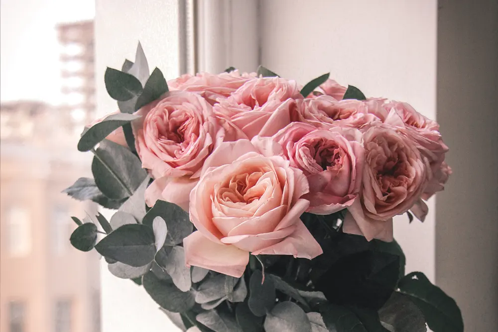 The Rose Bower