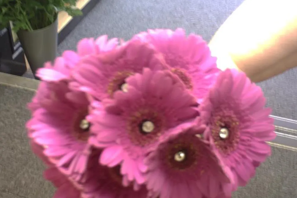 Greendale Florists