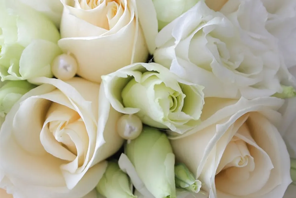 Louise Florist