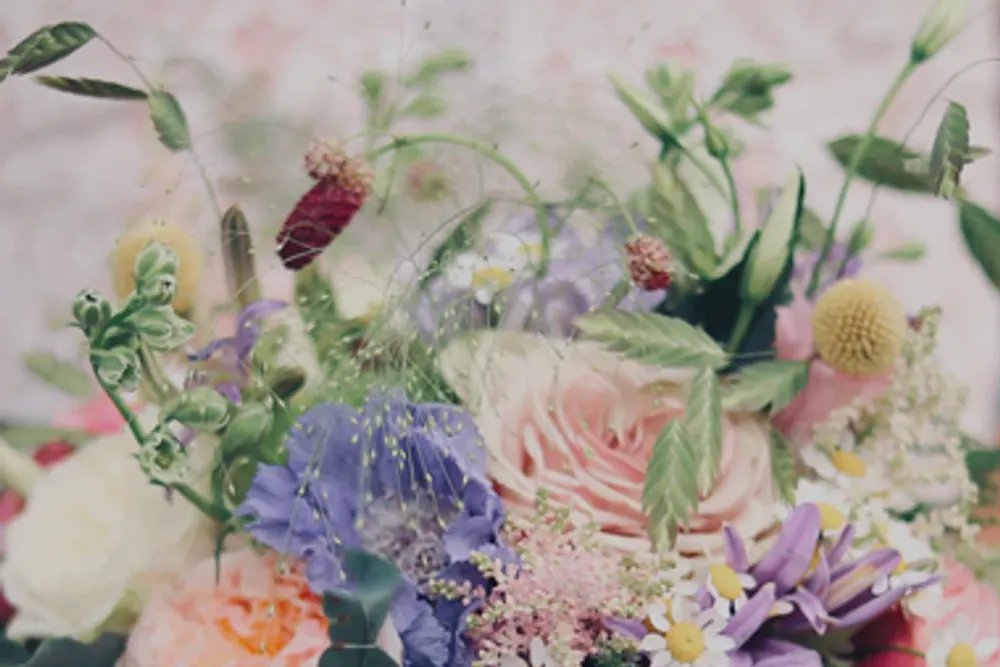 CeCe Blooms