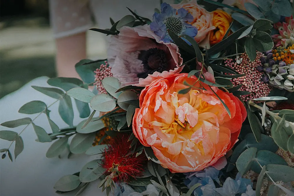 Wild Flowers