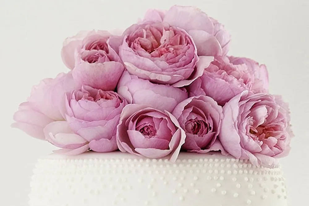 The Lake District Florist Keswick