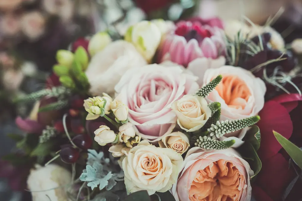 The Blooming Garden