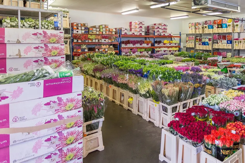 Bon Bloemen Ltd