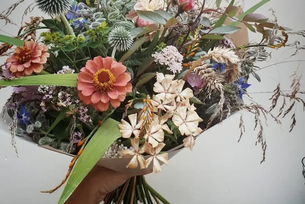 Bloomhead